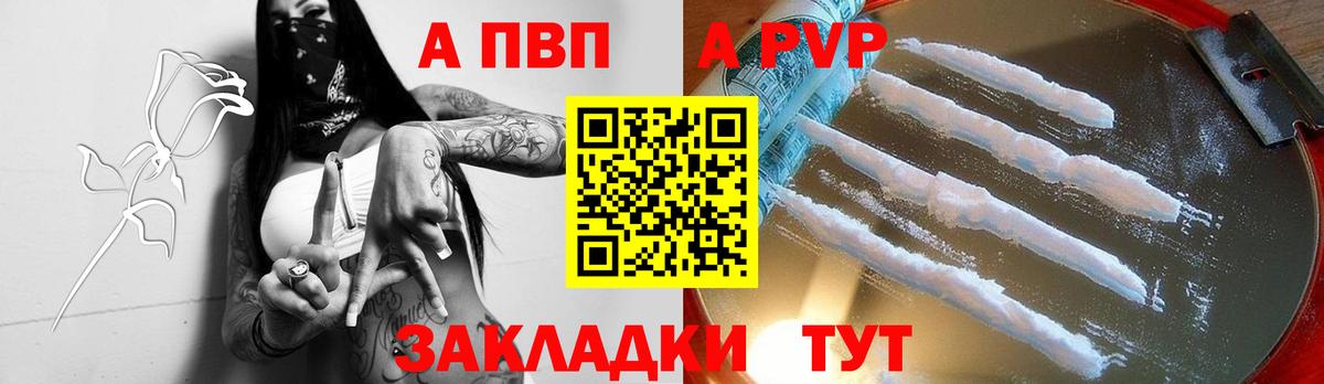 Альфа ПВП СК Краснодар