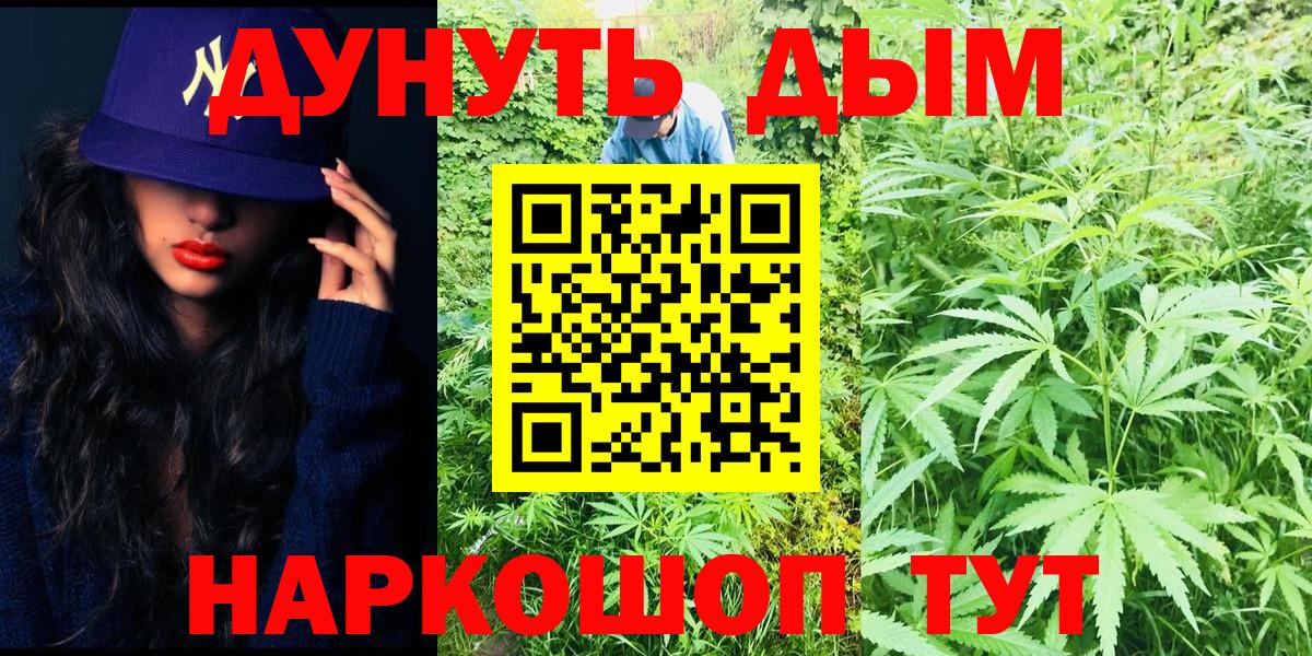Бошки Шишки семена  Шишки марихуана ГИДРОПОН  Краснодар  Вход с VPN 